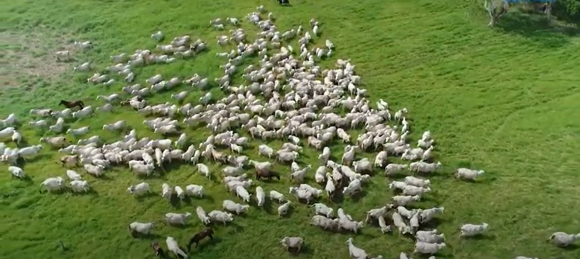 Episodio 4: Elaboración de climodiagramas | Pregúntale al experto